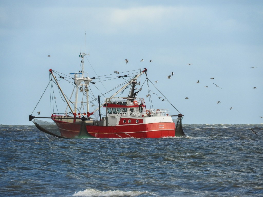 HV35 fiskeri på hav